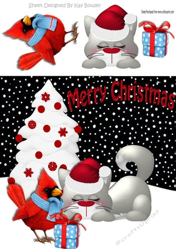 Sleep kitty in santa hat, robin has pressie for you 8x8