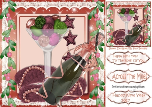 Rose Champagne to celebrate the new year 8x8