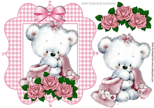 Baby bear in gingham frame with pink roses and bow