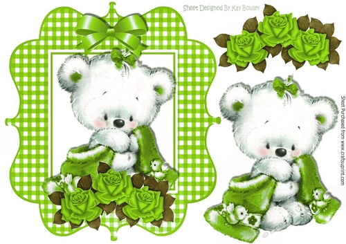 Baby bear in gingham frame with roses and green bow