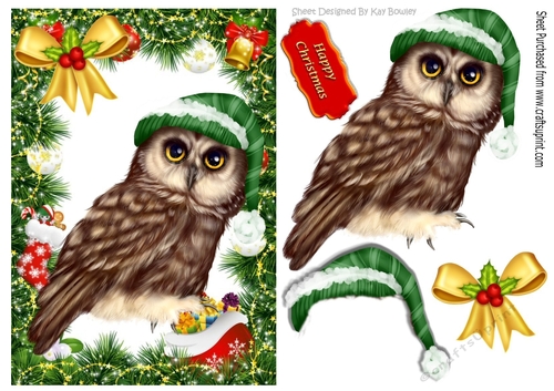 Lovely brown own in santa hat in festive frame