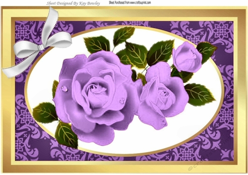 Pretty purple roses with white bow A4