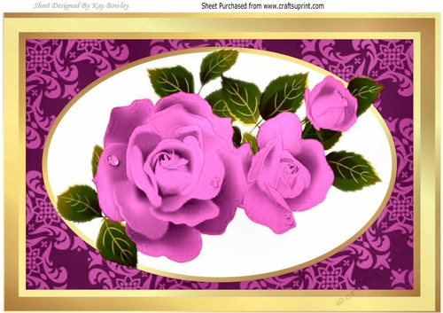 Pretty pink roses with white bow A4