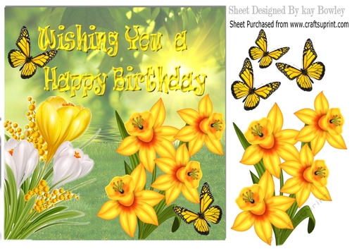 Crocuses & Daffodils with butterflies in the meadow