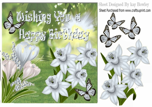  White Crocuses & Daffodils with butterflies in the meadow