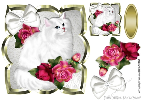 Pretty white persian kitten with pink roses & bow