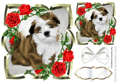 Lovely Llhapso puppy with red roses & bow