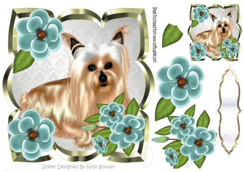 cute yorkie with blue  flowers