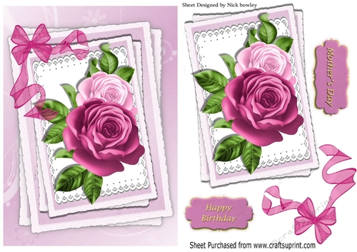 Pretty painted roses on lace with organza bow