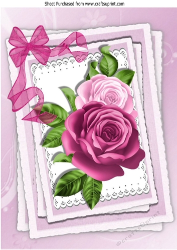 Pretty painted roses on lace with organza bow A4