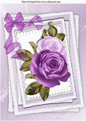Pretty purple painted roses on lace with organza bow A4