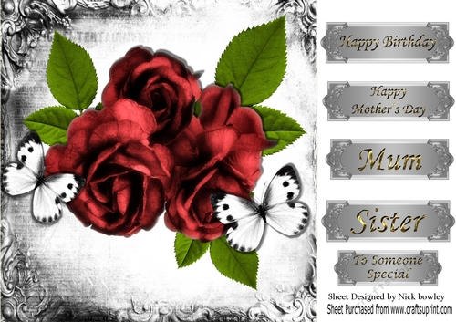 Pretty red  vintage roses in monogram frame with butterflies 8x8
