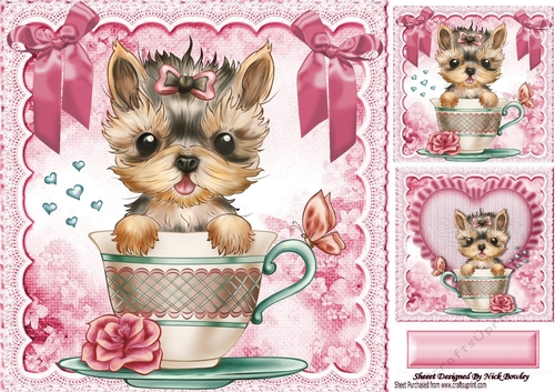 Gorgeous little teacup terrier puppy with bows 8x8