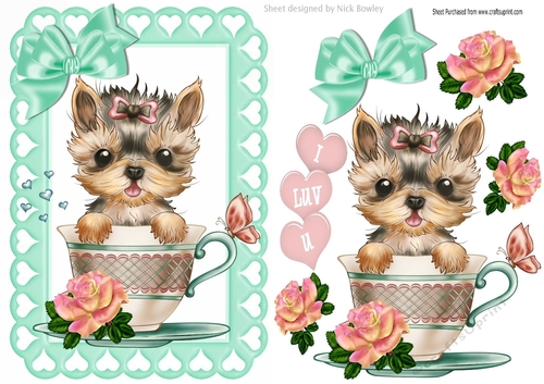 cute little yorkie in a teacup with roses and bow A5
