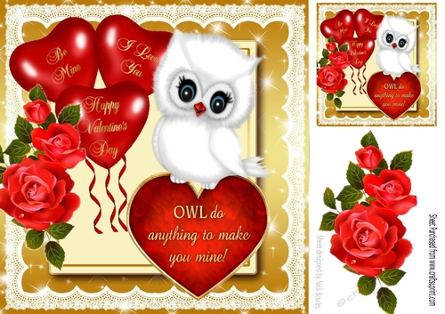 OWL do anything to make you mine! with balloons, hearts & roses 8x8