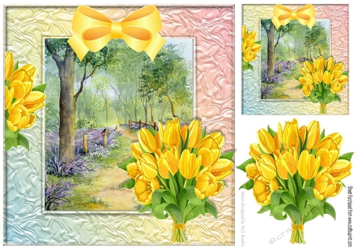 lovely spring walk amongst the bluebells and tulips 8x8