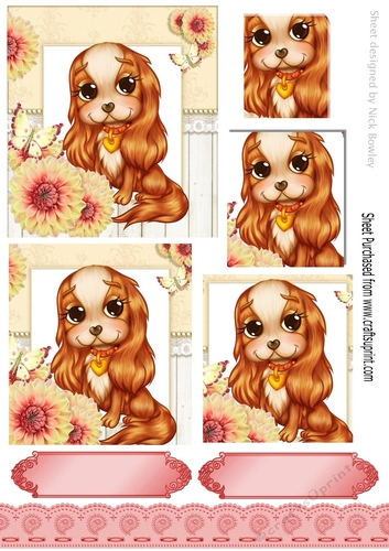 Cute little cavalier with pretty flowers & butterfly pyramids