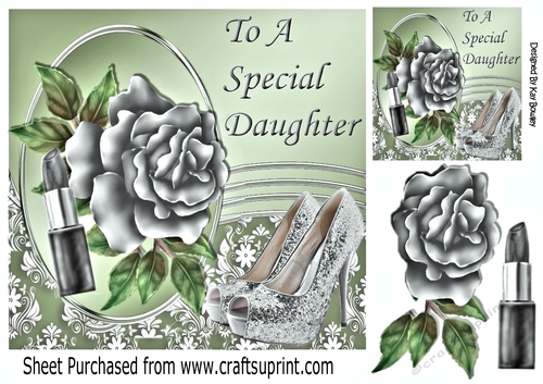 Pretty rose with silver shoes and lipstick for a DAUGHTER 8x8