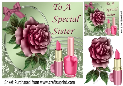 pretty pink rose with ladies accessories with bow for SISTER 8x8