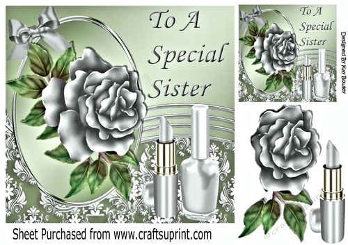 pretty silver rose with ladies accessories with bow for SISTER 8x8