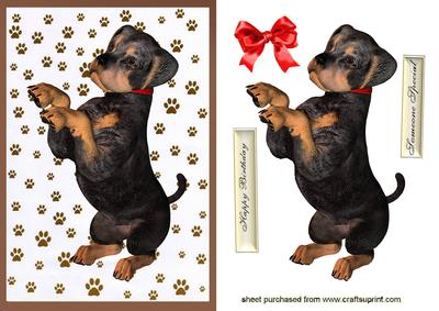 Cute Little Rotweiler Puppy