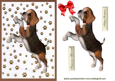 Cute Little Beagle Puppy
