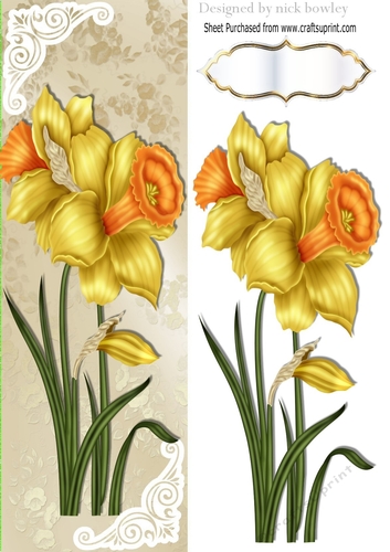 Pretty yellow Daffodils with ornate corners Tall DL