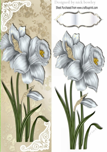 Pretty white Daffodils with ornate corners Tall DL