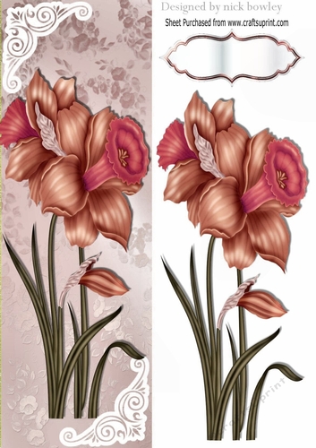 Pretty pinky Daffodils with ornate corners Tall DL