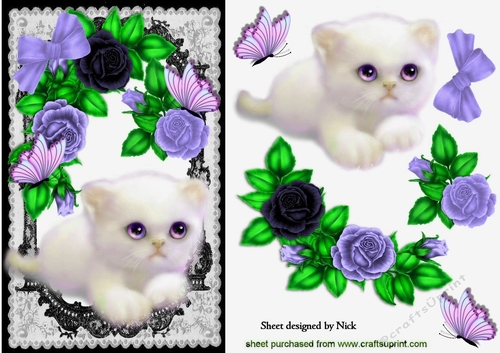cute fluffy white kitten with lilac roses, & butterflies in black lace A5