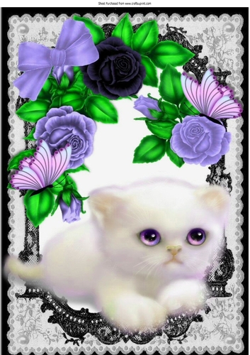 cute fluffy white kitten with lilac roses, & butterflies in black lace A4