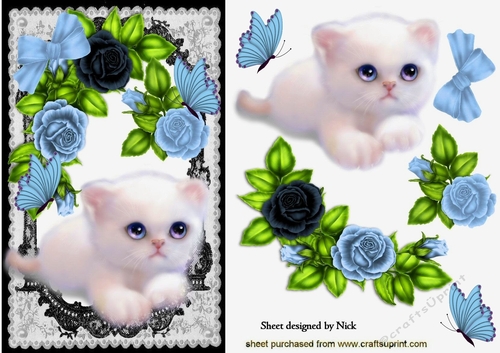 cute fluffy white kitten with blue roses, & butterflies in black lace A5