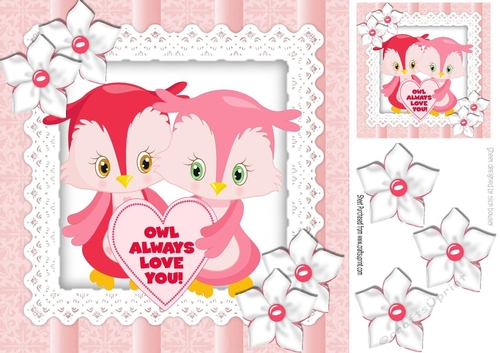 Owl always love you, cute owls with flowers 8x8