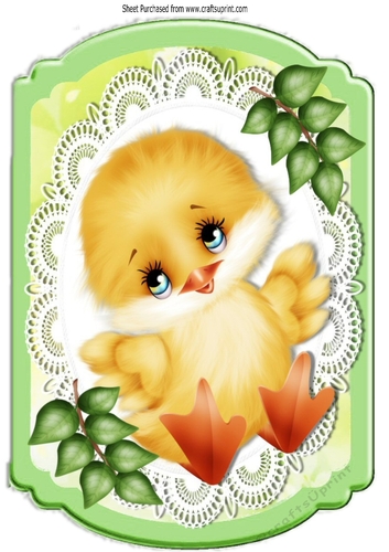 Cute little yellow chick on lace A4