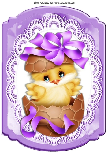 Cute little yellow chick in choc egg on lace A4