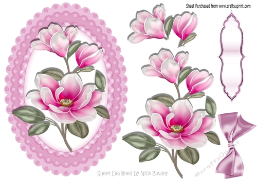 pink magnolias with bow in oval frill frame A5