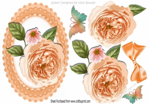 Pretty wild peach rose with butterflies A5
