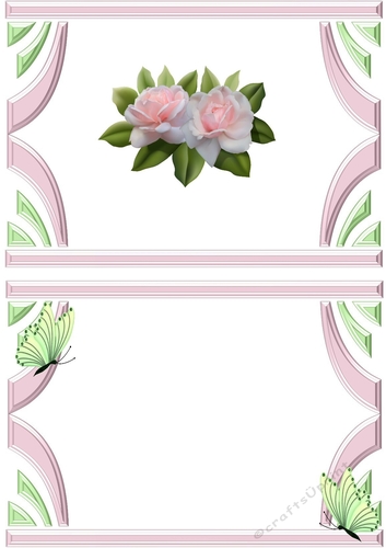 pink blush roses in art deco frame with butterflies A5 Insert