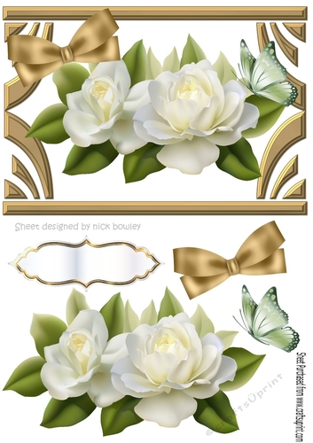 pretty cream roses in gold art deco frame with bow and butterfly A5