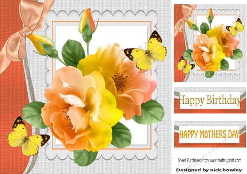 pretty peach/lemon roses with butterflies and bow 8x8