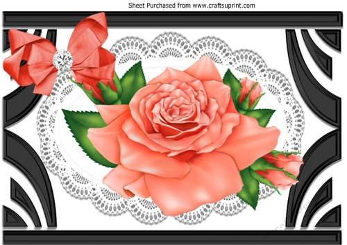 Pretty peach roses on lace in black ornate frame A4