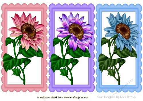 pretty sunflowers in scalloped card fronts