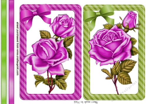 pretty cerise roses wth bows and borders card fronts