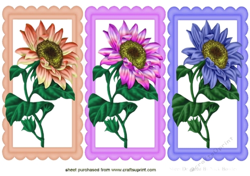 sunflowers card fronts in scalloped frames  