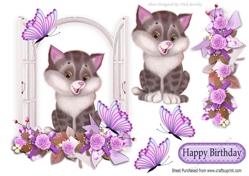 cute kitty in the window with lilac flowers and butterflies