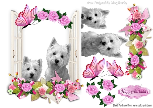 Cute Gypsey & Suzy, Westies looking out the window with flowers