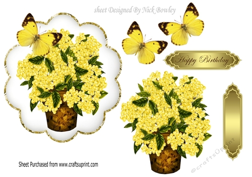 Pretty yellow Hydrangeas in a vase with yellow butterflies