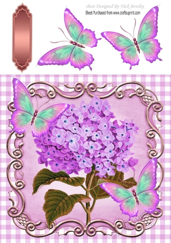 lilac Gingham, lilac butterflies with lilac Hydrangeas 8x8