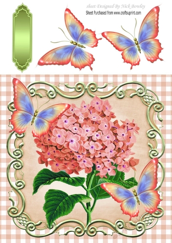 peach Gingham, peach butterflies with peach Hydrangeas 8x8