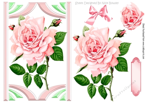pink rose in art deco frame with bow